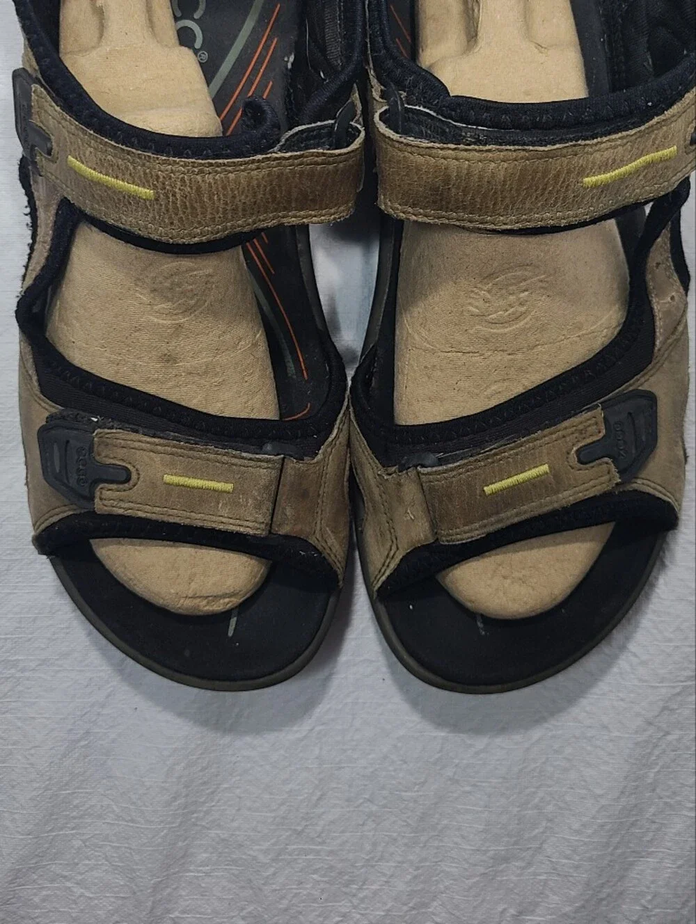 Ecco mens yucatan